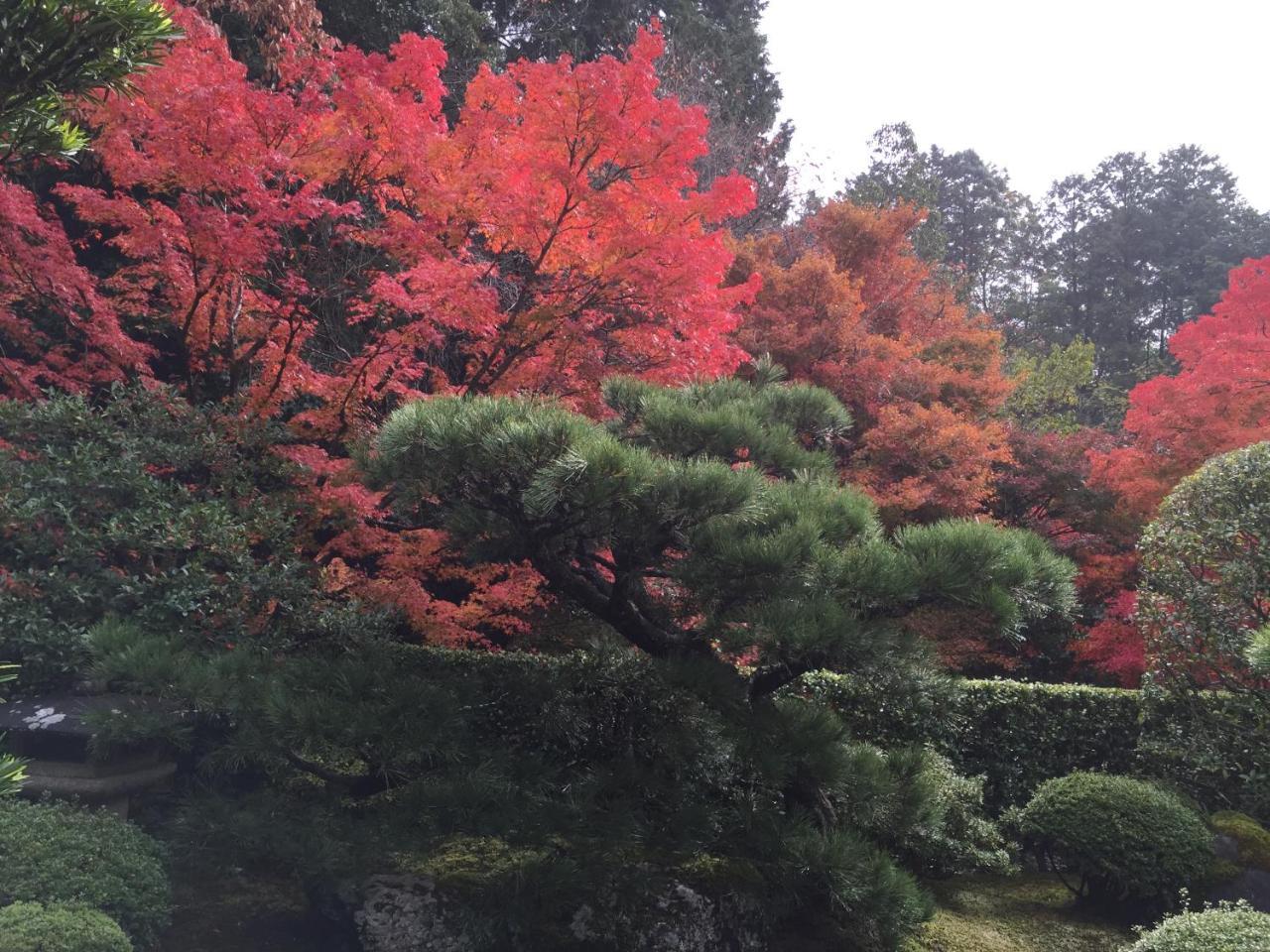 Ryokan Yamazaki Kyoto Dış mekan fotoğraf