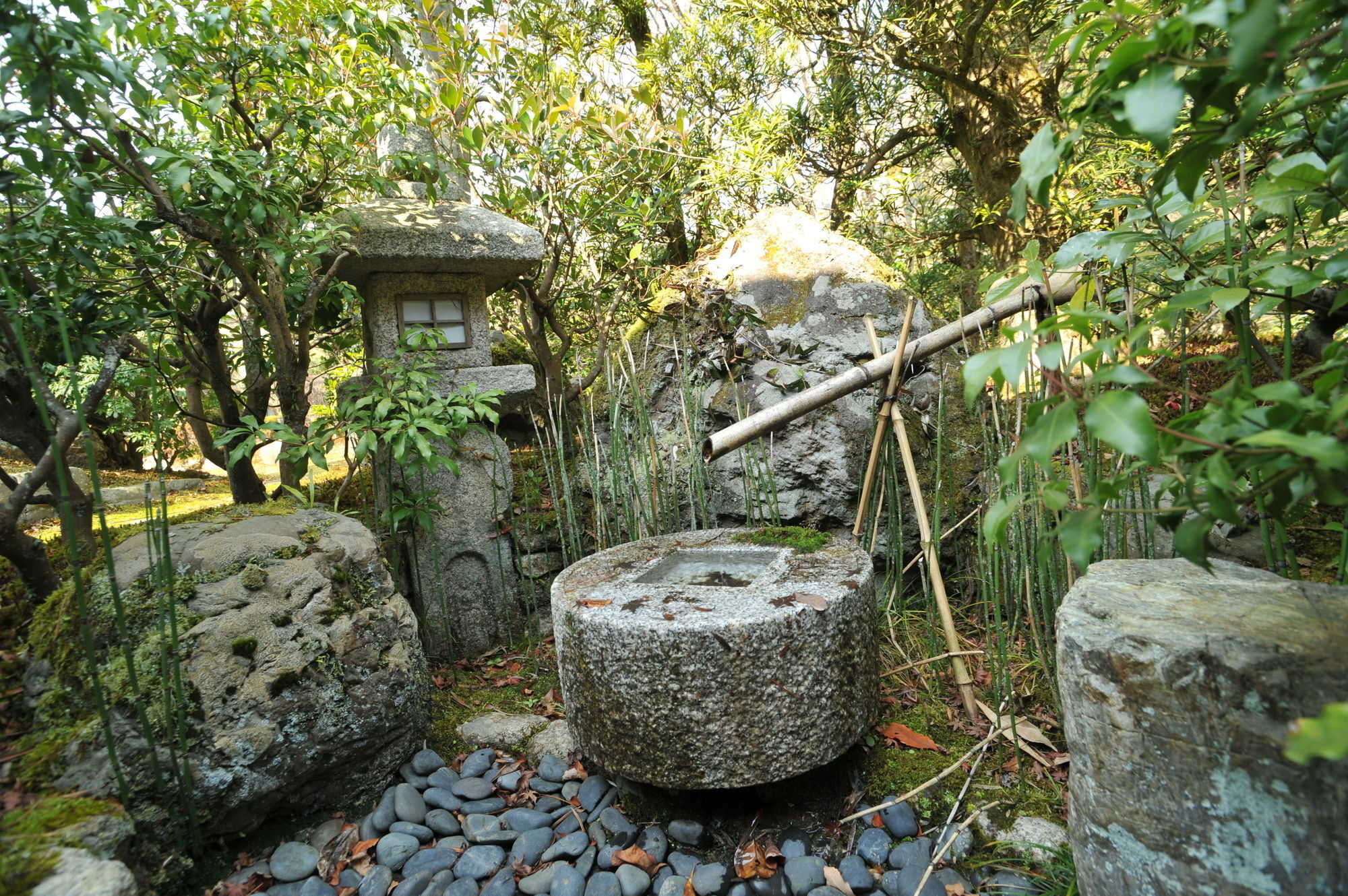 Ryokan Yamazaki Kyoto Dış mekan fotoğraf
